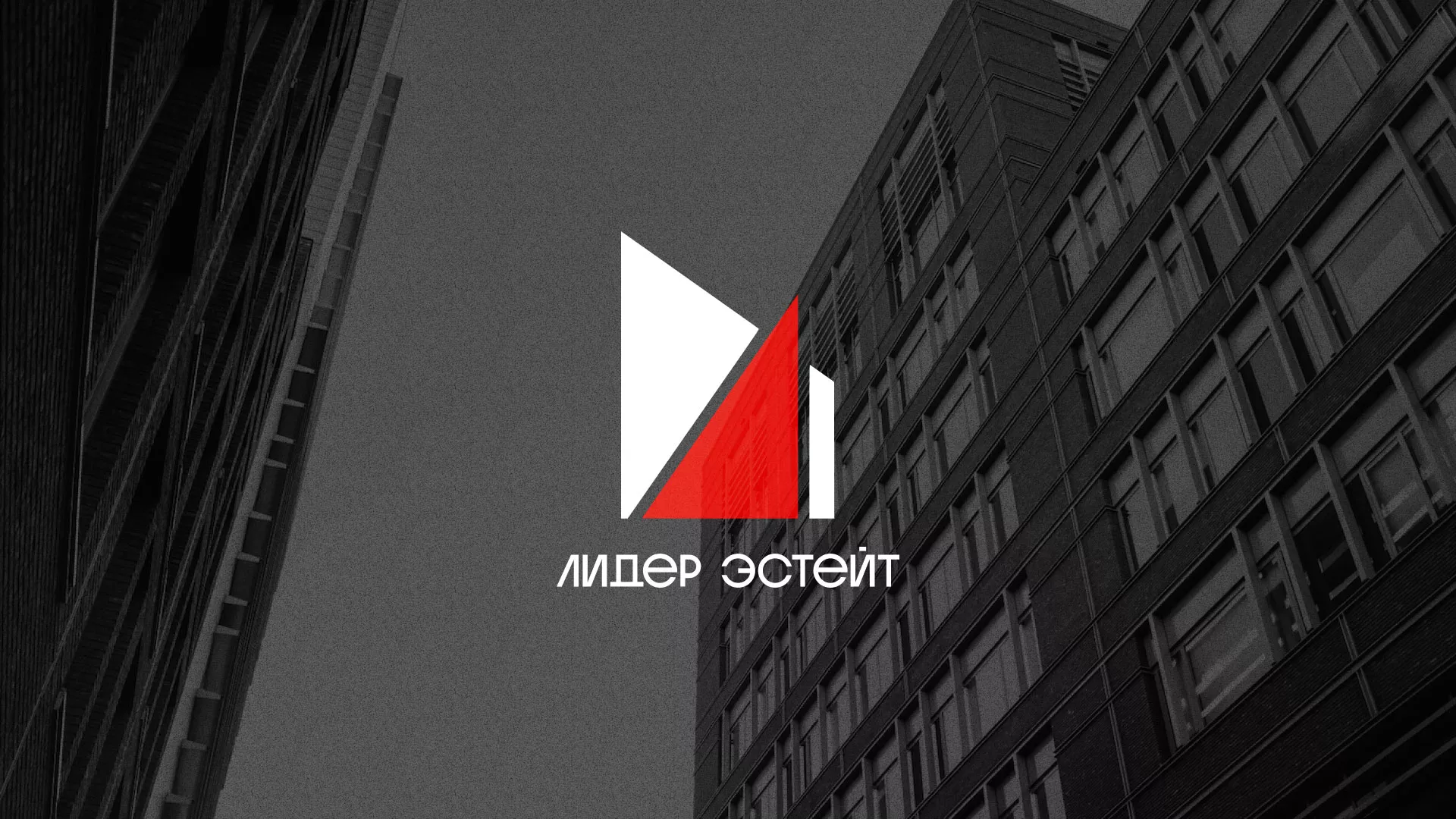 Сделали логотип для агентства недвижимости «Лидер Эстейт» в Камне-на-Оби
